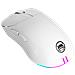 PA50 mouse Gaming Mano destra USB tipo-C Ottico 12400 DPI - Foto miniatura 1