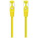10.20.1903-R - Cavo di rete Ethernet RJ45 LSZH Cat. 6A SFTP, AWG26, rame 100%, senza allogeni, rosso, tubo da 3.0 mts - Foto miniatura 2