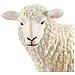 Figurina Animale Pecora, Bianco - Foto miniatura 4