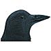 Decorazione Animale Corvo Nero 27 Cm 1382523 - Foto miniatura 3