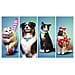 XONE - The Sims 4 Bundle Cani e Gatti - Foto miniatura 2