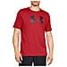 Big Logo Ss Tee 1329583-600, Uomo, Rosso, Maglietta, Numero: S Eu - Foto miniatura 1