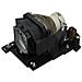 Lampada Proiettore di Ricambio per CP-X2510Z / CP-X2511N / CP-WX3011N 210 W 3000H ML12119 - Foto miniatura 1