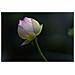 322965 Lenti 85mm-f / 1.4-af (a) Dg Dn E-mount Mirrorless - Foto miniatura 2