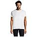 T-shirt Girocollo Da Uomo Modello Imperiale Taglia 5xlcolore Bianco - Foto miniatura 1