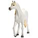 Figurina Cavallo Arabo Horse Club, Bianco - Foto miniatura 4