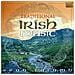 Sean Talamh - Traditional Irish Music - Foto miniatura 1
