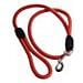 Guinzaglio Cani Nylon T Mm 13 Cm 110 Ilcampo 07640 - Foto miniatura 1