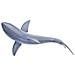 Statuetta Squalo Collezione Wildlife Con Denti Affilati, Blu - Foto miniatura 4