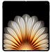 Find N5 5G 512GB 16GB Ram Display 8.12" Amoled 120Hz Main Camera 50MP Dual nanoSim +eSim USB Type-C Android 15 Snapdragon 8 Elite 5600 mAh Cosmic Black - Foto miniatura 5