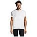 T-shirt Girocollo Da Uomo Modello Imperiale Taglia 3xl Colore Bianco - Foto miniatura 1