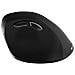 CNS-CMSW16B mouse Ufficio Ambidestro RF Wireless Ottico 1600 DPI - Foto miniatura 2