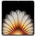 Find N5 5G 512GB 16GB Ram Display 8.12" Amoled 120Hz Main Camera 50MP Dual nanoSim +eSim USB Type-C Android 15 Snapdragon 8 Elite 5600 mAh Misty White - Foto miniatura 5