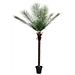 Pianta Artificiale Phoenix Deluxe, 220 Cm - Foto miniatura 1