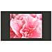 Fotomurale - Fiori D'azalea Rosa 200x154 Cm - Foto miniatura 3