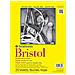 342-109 300 Serie Bristol Vellum Pad 9 ""x 12"" Rilegato In Nastro 20 Fogli - Foto miniatura 1