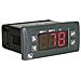 Pid Termostato K, S, R, J, Pt100, Pt500, Pt1000, Ni100, Ptc1k, Ntc10k Relè 10 A, Relè 5 A, Ssr, Rs - Foto miniatura 1