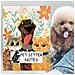 Quaderno Portatile Per Pet Sitter: Guida Alla Cura Degli Animali Per Cani, Cuccioli E Gatti - Foto miniatura 6