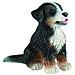 Animali Cane Bovaro Bernese Cucciolo 4cm. 65437 - Foto miniatura 1