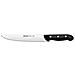 Serie Maitre - Coltello Cucina - Lama Acciaio Inossidabile Nitrum 220 Mm - Manico Polipropilene Colore Nero - Foto miniatura 1