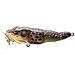 Livetarget Frog Popper - Foto miniatura 1