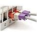 Digitus A-CC-VI, Clip di codifica a colori, Viola, Cloruro di polivinile (PVC), Cat5e/6, 100 pz, 100 mm - Foto miniatura 2