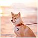 Custodia Rough Vein 2-pack Per Apple Airtag - Foto miniatura 5