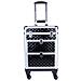 Trolley Makeup Professionale Alluminio Valigetta Trucco Estetista Beauty Case - Foto miniatura 5