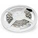 Striscia Led Smd5050 30 Led / m Bianco Freddo Ip65 - Foto miniatura 1