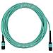 Q1H63A-BO cavo InfiniBand e in fibra ottica 1 m MPO Colore acqua - Foto miniatura 1