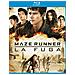 Brd Maze Runner - La Fuga - Foto miniatura 2