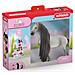 Horse Club Sofiaãƒâ¢ã‚â‚¬ã‚â„¢s Beauties Starter Set Sofia & Dusty (Horse Club Sofia's Beauties Sofia - Foto miniatura 1