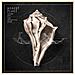 Robert Plant - Lullaby And. . . the Ceaseless Roar (2 Lp+Cd)  - Foto miniatura 1