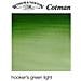 314 Cotman Acquerello 1/2 Godet Verde Di Hooker - Foto miniatura 1