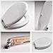 Copriwater Ideal Standard Ellisse-ellisse Piu'' Bianco Cerniera Cromo-sedile-asse Wc - Foto miniatura 2