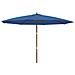 Ombrellone Da Giardino Con Palo In Legno Azzurro 400x273 Cm - Foto miniatura 2