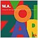 Mozart Wolfgang Amadeus - Quartetti Per Archi (integrale) (7 Cd)  - Foto miniatura 1