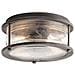 Plafoniera Da Esterno A Filo Da Bagno 1 Luce Zinco Ip44, E27 - Foto miniatura 1