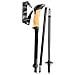 Black Series FX Carbon bastone per trekking Unisex Pieghevole - Foto miniatura 6