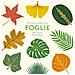 Alison Davies - Piccola Guida Alle Foglie. Ediz. Illustrata - Foto miniatura 1