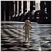 DOBBY - Foto miniatura 2