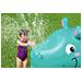 52569 / 23 spruzzatore per giochi d'acqua - Foto miniatura 16