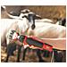 Macchinetta Tosa Pecore ""farmclipper"" Red 18261 - Foto miniatura 2