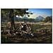 PS4 - Days Gone   - Foto miniatura 5