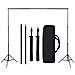 Set Studio Fotografico Con Sfondi E Luci Softbox - Foto miniatura 4