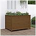 Fioriera Rialzata Giardino Miele 119,5x82,5x78cm Massello Pino - Foto miniatura 1