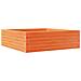 Fioriera Giardino Marrone Cera 80x80x23 Cm Legno Massello Pino - Foto miniatura 2