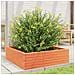 Fioriera Giardino Marrone Cera 80x80x23 Cm Legno Massello Pino - Foto miniatura 3
