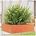 Fioriera Giardino Marrone Cera 80x80x23 Cm Legno Massello Pino - Foto miniatura 1
