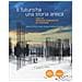 Alberto Di Minin - Il futuro ha una storia antica. Casi di imprese innovative in Toscana - Foto miniatura 1